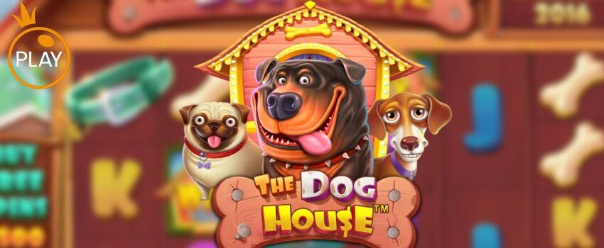  The Dog House Megaways: สุดยอดเกมสล็อตธีมน้องหมาแสนซน พร้อมแจกโบนัสแบบจัดเต็ม!