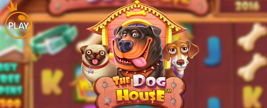 The Dog House Megaways: สุดยอดเกมสล็อตธีมน้องหมาแสนซน พร้อมแจกโบนัสแบบจัดเต็ม!